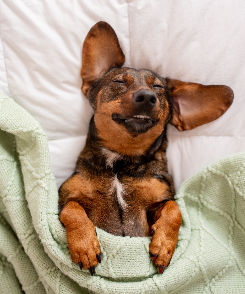 Your best days start with better nights