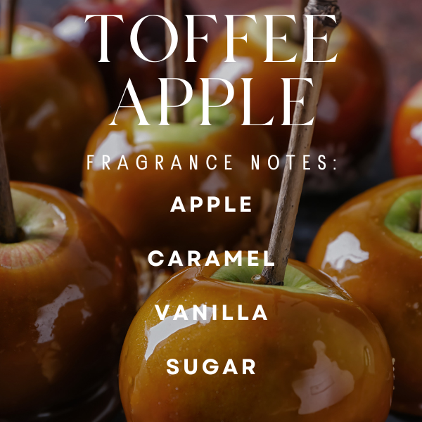 Pacific Movement Soy Wax Candle - Toffee Apple