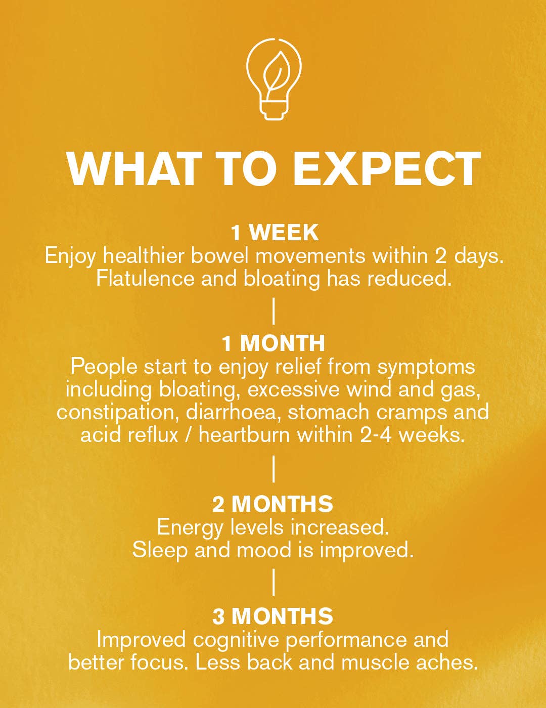 Gut Works® - Pre & Probiotic - 30 Capsules