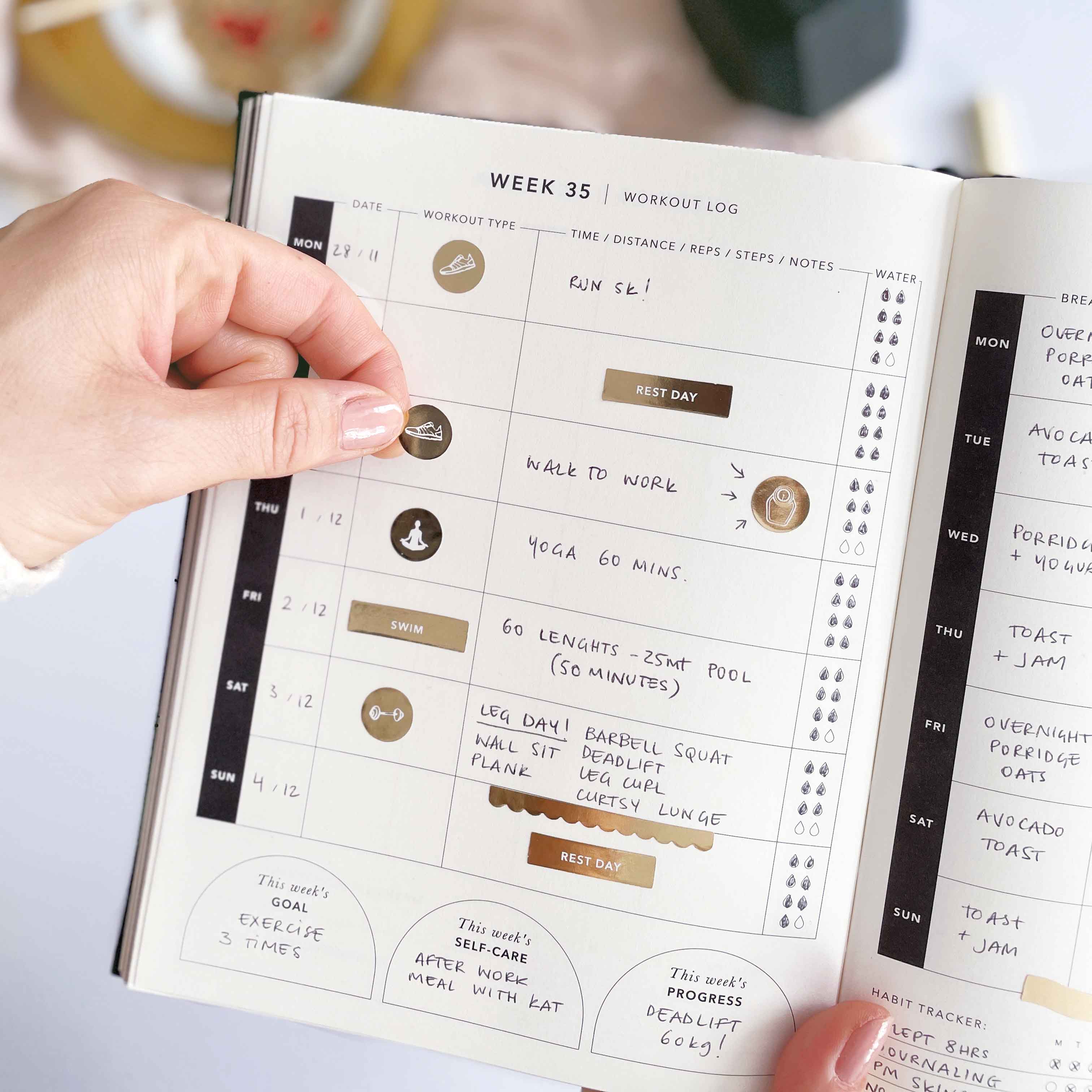 My Daily Fitness Planner -  Workout and Meal Planner - Curve