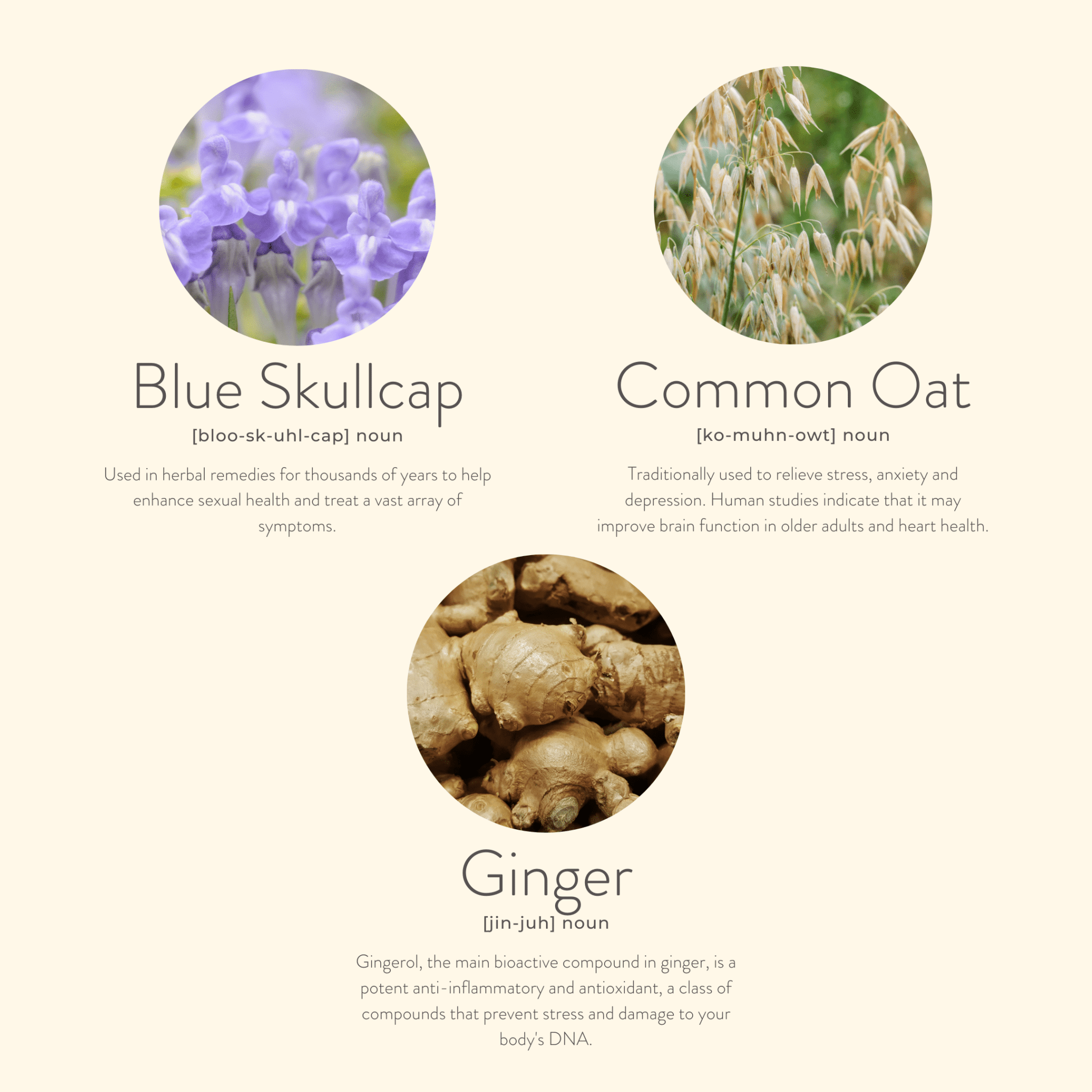 Menopause Balance Patches – Natural Daily Relief 30 Day Pack